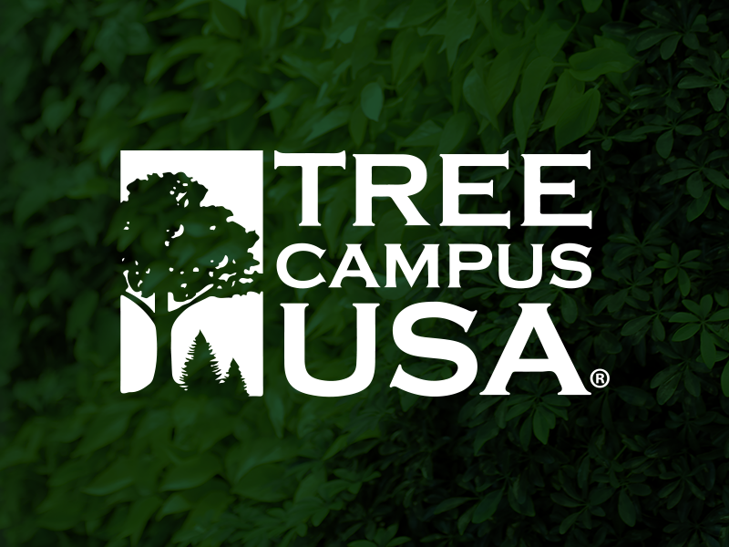 2014 Favorite Tree Campus USA